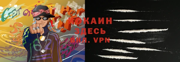 индика Нягань
