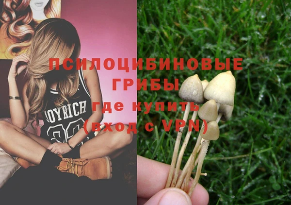 PSILOCYBIN Осинники