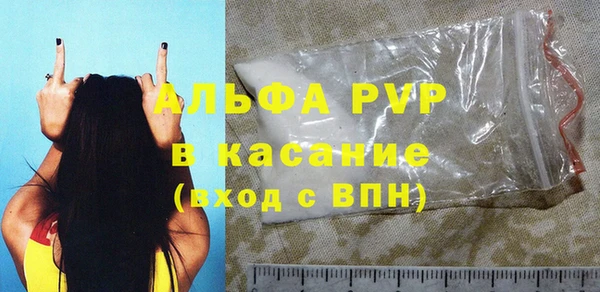 индика Нягань