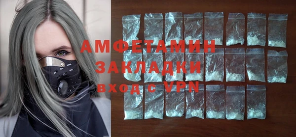 индика Нягань