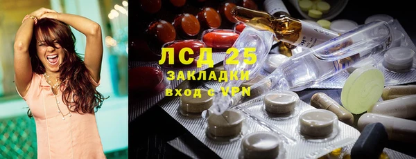 PSILOCYBIN Осинники