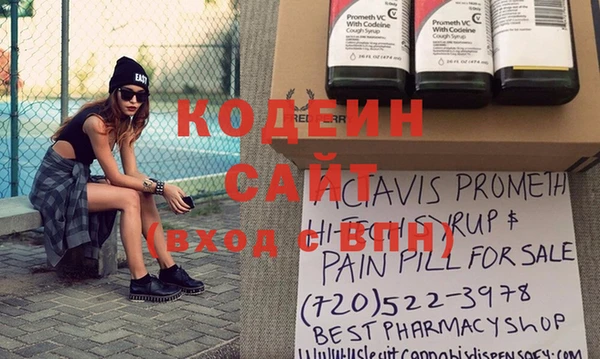индика Нягань