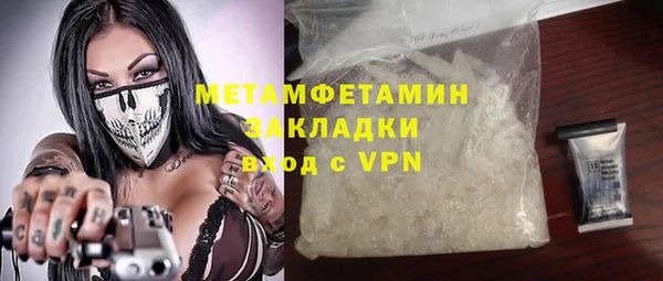 индика Нягань