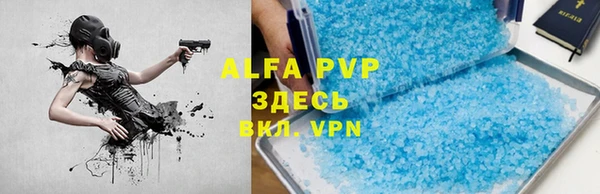 индика Нягань