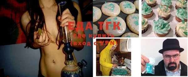 индика Нягань