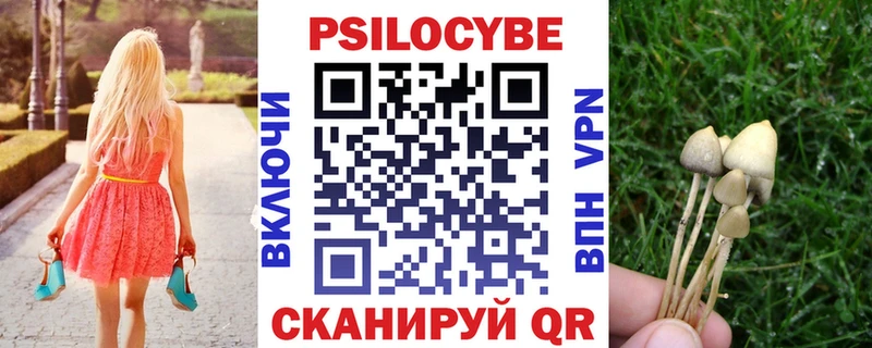 Псилоцибиновые грибы Cubensis  Суоярви 